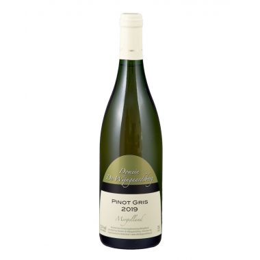 Mergelland Pinot Gris 2023 Wijngaardsberg