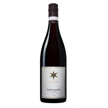 Pfalz Spätburgunder 2022 Stern